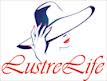 Buy Discounted Womens Fashion Clothes at Lustrelife